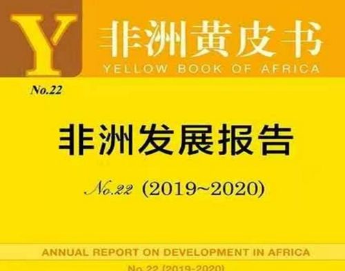 中国社科院发布非洲黄皮书 疫情之下 中非应推动经贸合作高质量发展